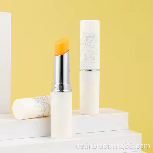 Hochwertige Lipgloss -Creme für Make -up